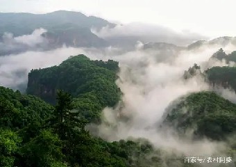 演他的主要功劳是先后释放晁盖宋江上梁山时......《水浒职场脸谱》摘录